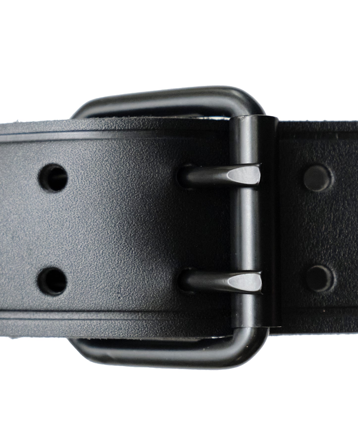 fang belt